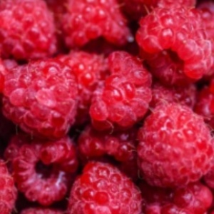 Zmeura romaneasca, ECO, 125g