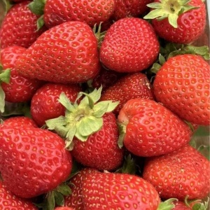 Capsuni romanesti, ECO 1kg