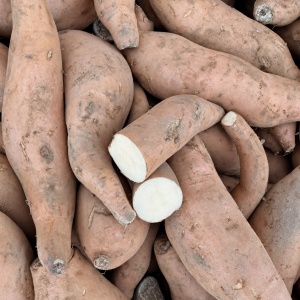 Cartofi dulci,miez alb, romanesti,ECO, 1kg