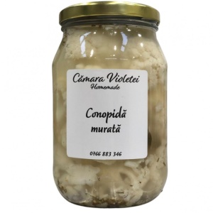Conopida in saramura, 1.5kg