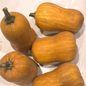 Dovleac Butternut Honey, ECO, 1buc (cca500g)
