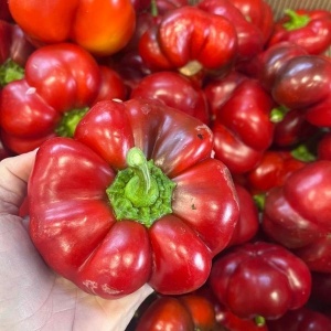 Gogosari, ECO, 500g