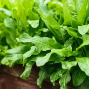 Macris romanesc, ECO, 30g