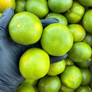 Mandarine Satsumas, ECO, 1kg