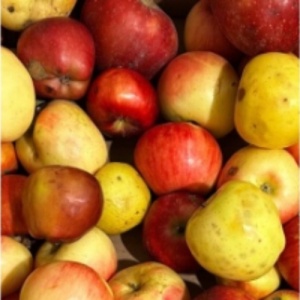 Mere soiuri diverse, (pentru placinta) 3kg