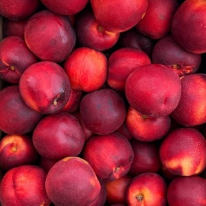 Nectarine, ECO, 500g