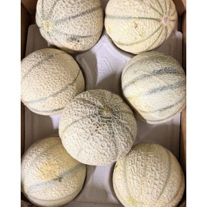 Pepene galben Cantaloupe, ECO, 1 buc (aprox 700g) - Img 2