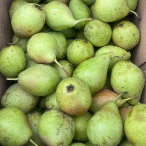 Pere Crystallia, ECO, 1kg - Img 3