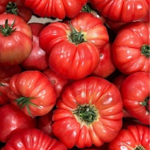 Rosii roz, fericite, ECO, 1 kg