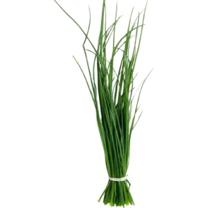 Usturoi de tuns 1 leg, ECO