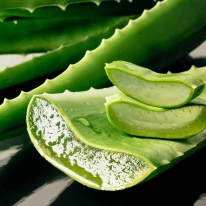 Frunza de aloe vera, ECO, 1buc (min 200g)
