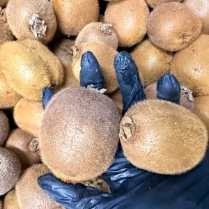 Kiwi, ECO, (min 400g) - Img 3