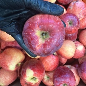 Mere Florina, romanesti, ECO, 1kg - Img 2