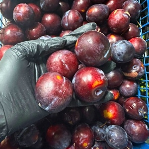 Prune japoneze nestropite, 500g (conversie an2)