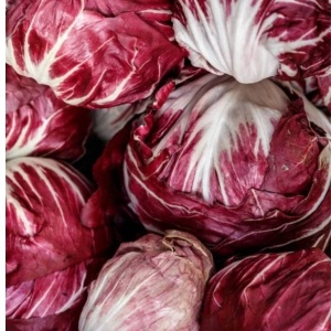Radicchio, ECO, 1buc
