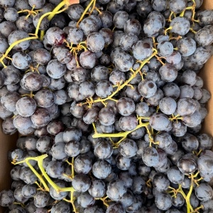 Struguri negri, ECO, 500g