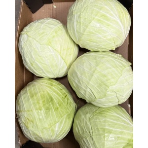 Varza alba ECO, 1 buc (minim 3kg)