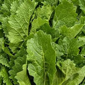 Wasabino, ECO, 120g