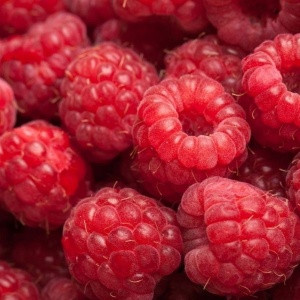 Zmeura romanesca, 250g - Img 2