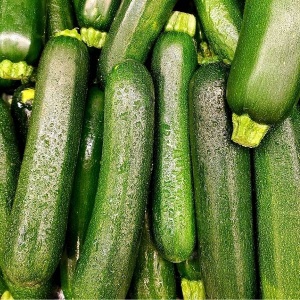 Zucchini verde romanesc, ECO, 1buc