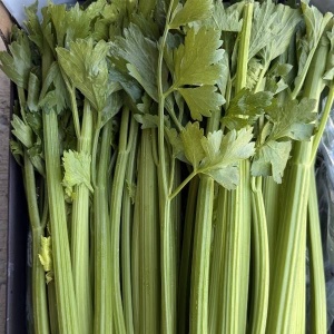 Apio, ECO, 1 buc (min 350g)