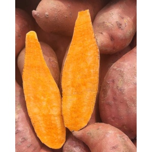 Cartof dulce, ECO, 1buc (500g) - Img 2