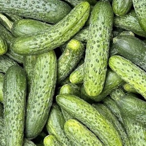 Castraveti cornison, ECO, 1kg