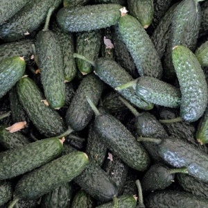 Castraveti Cornison, ECO, 500g