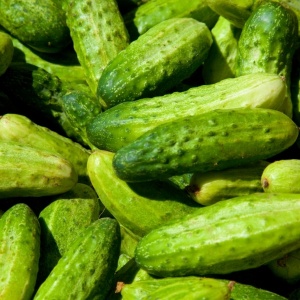 Castraveti cornison, ECO, 500g