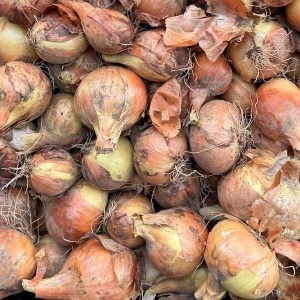 Ceapa galbena romaneasca, ECO, 1kg