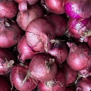 Ceapa rosie, ECO, aprox 600g