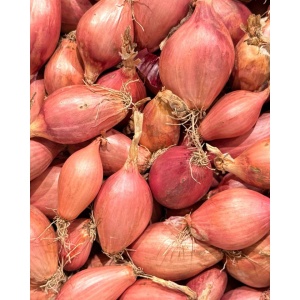 Ceapa Shallots, ECO, min 500g - Img 2
