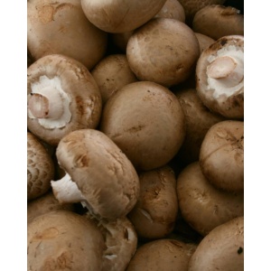 Ciuperci maro, ECO, 250g - Img 2