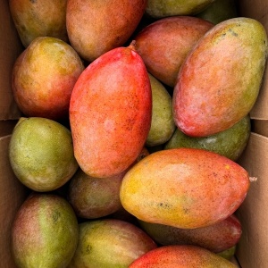 Mango ECO, 1 buc