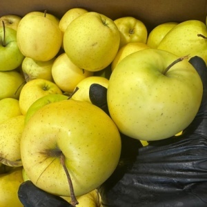 Mere Golden Delicios, romanesti, ECO, 1kg