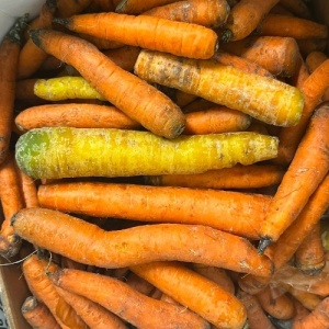 Morcovi ECO pentru gatit, deshidratat, 1kg