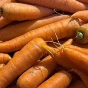 Morcovi romanesti, ECO, 500g - Img 2