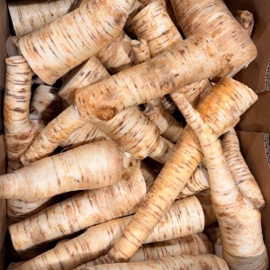Patrunjel de radacina, ECO, 1Kg (SVM)
