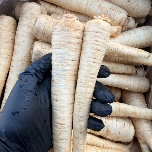 Patrunjel de radacina, ECO, 500g - Img 2