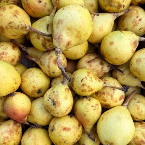 Pere Kontoula, ECO, 500g