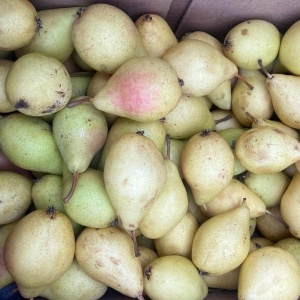 Pere Kosia, ECO, 500g - Img 2