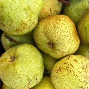 Pere Packham, ECO, min 400g