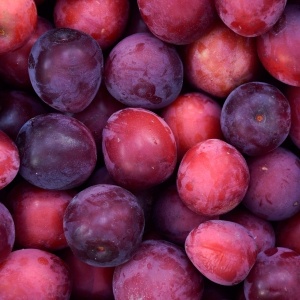 Prune Angeleno, ECO, 500g