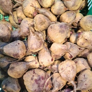 Sfecla rosie, ECO, 300g