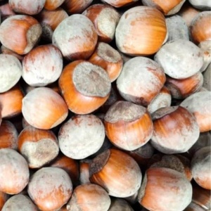 Alune de padure in coaja, ECO, 500g (recolta 2024)