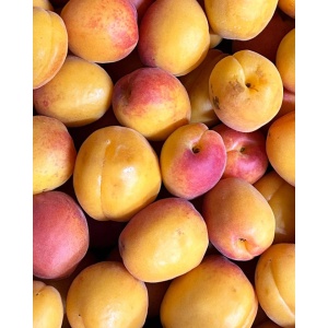 Caise, ECO, 500g - Img 2
