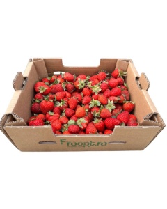 Capsuni romanesti, ECO, 2 kg
