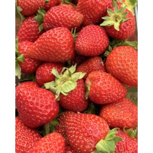 Capsuni romanesti ECO, 500g