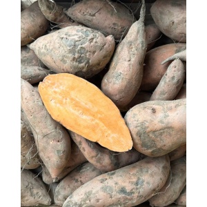 Cartofi dulci cu miez portocaliu , ECO, 1kg (SVM)