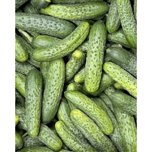 Castraveti cornison, ECO, 1kg - Img 2